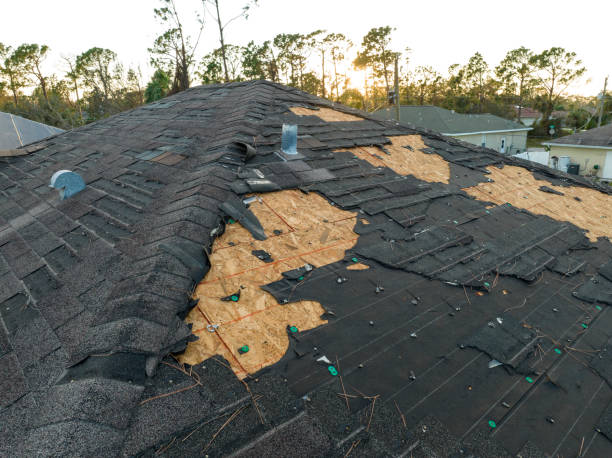 Best Roof Ventilation Installation  in Everman, TX